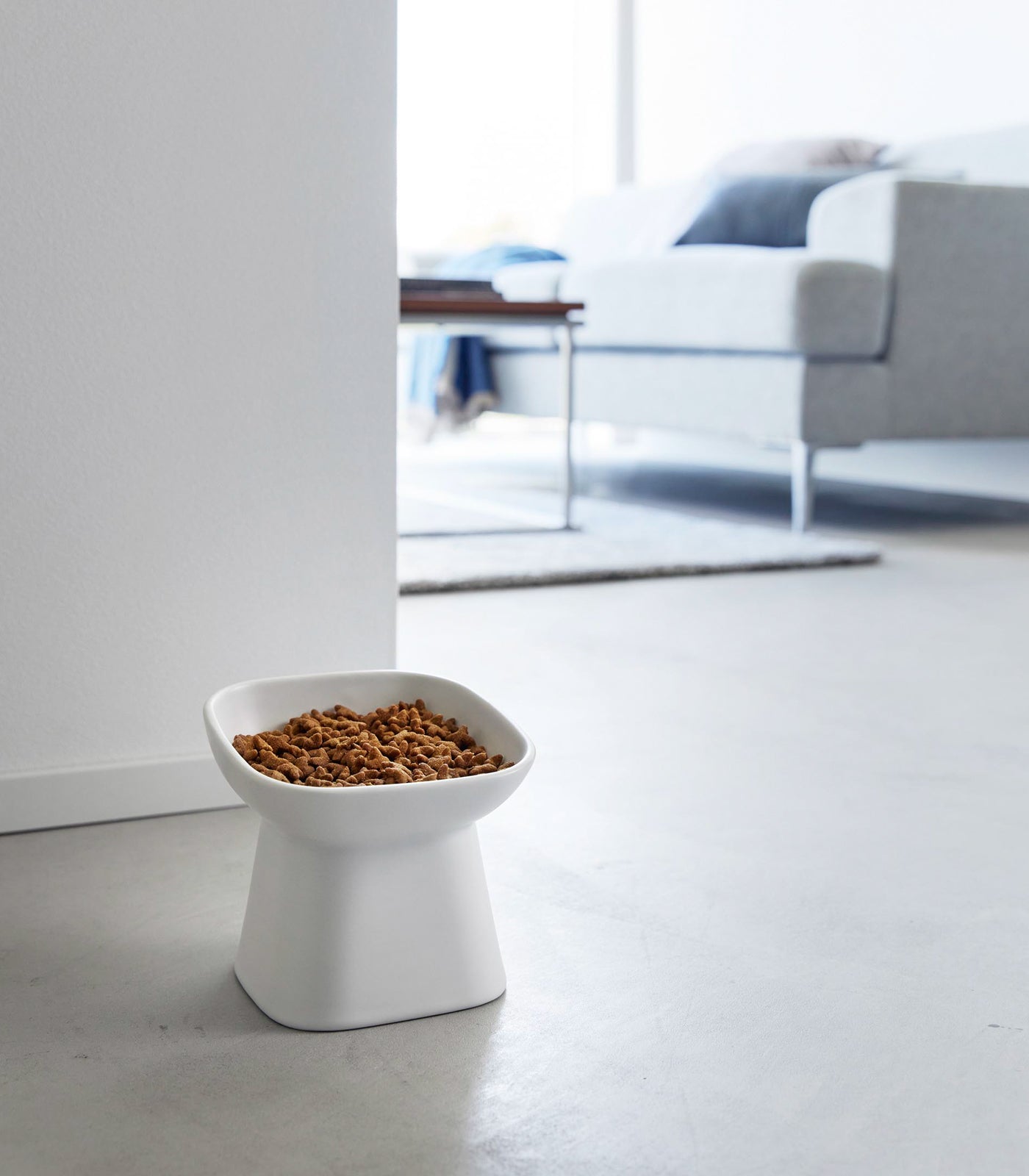 Tilted Pet Food Bowl